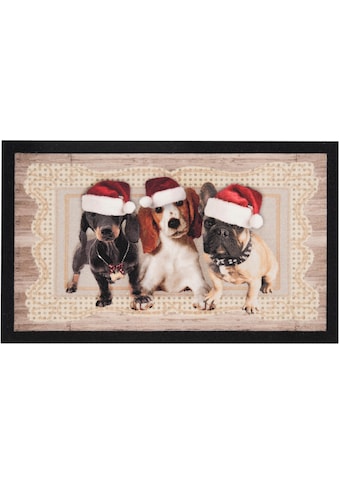 HANSE Home Fußmatte »Christmas Dogs II«, rechteckig, 7 mm Höhe, Schmutzfangmatte, In... kaufen