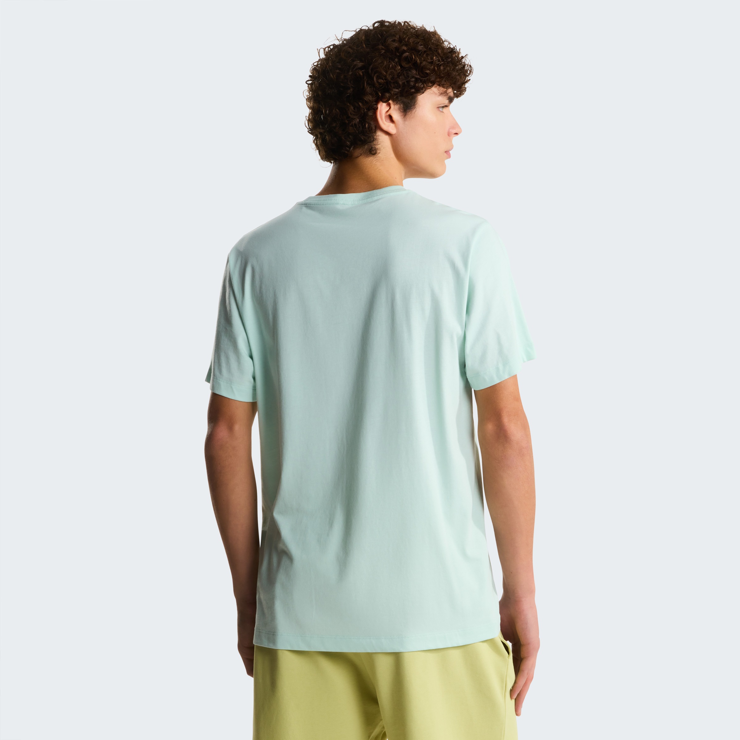 The North Face T-Shirt »M EVOLUTION SIMPLE DOME REGULAR SHORT SL« normale Passform, Kurzarm, für den Alltag, aus Baumwolle