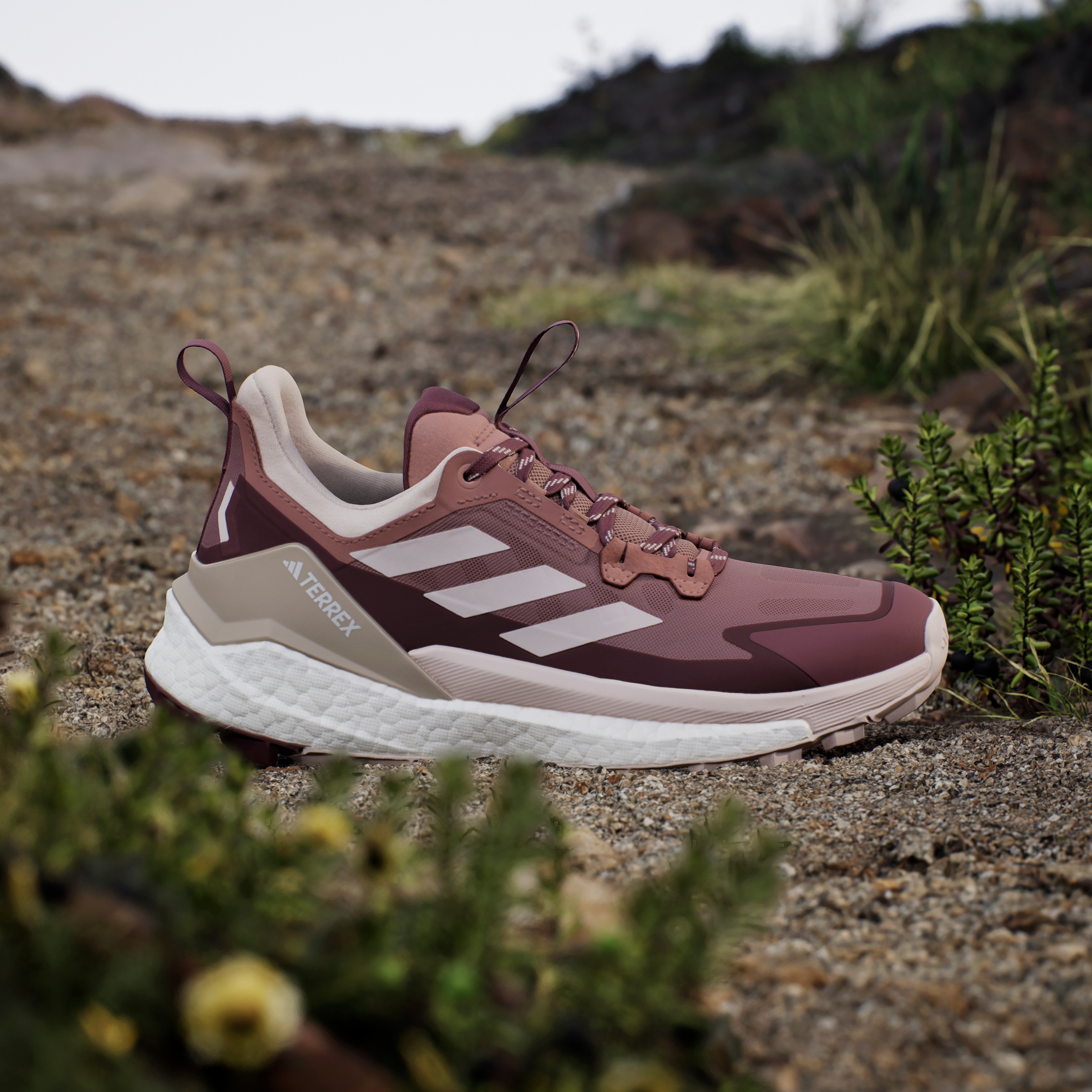 adidas TERREX Wanderschuh »TERREX FREE HIKER 2.0 LOW«
