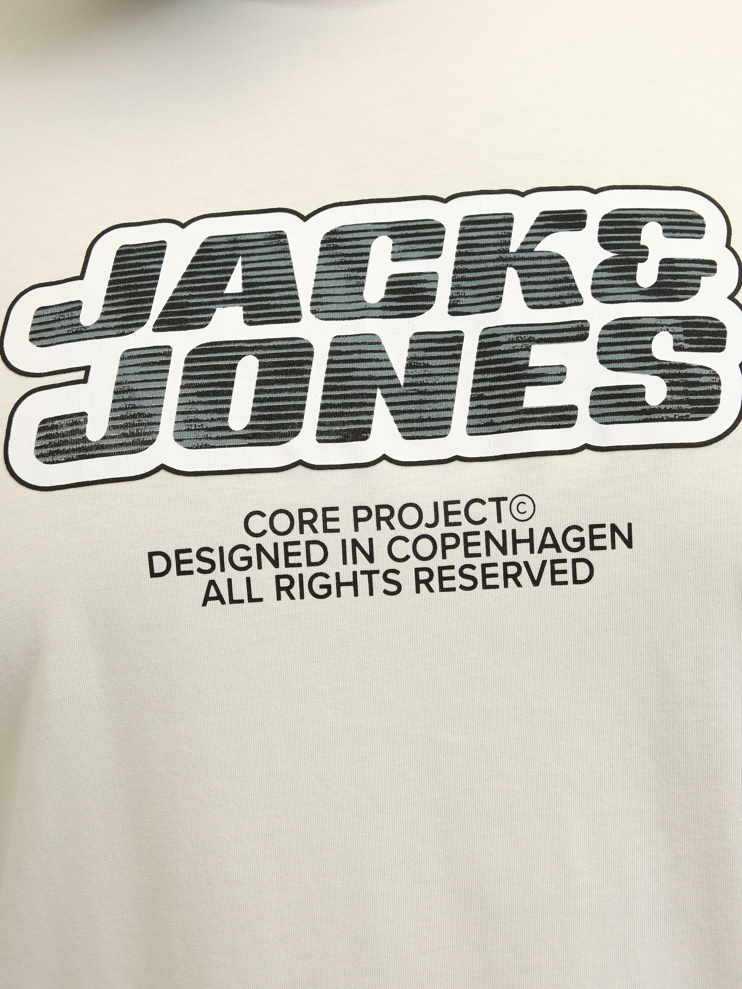 Jack & Jones PlusSize Print-Shirt »JCOLIDO AOP FRONT PRINT TEE SS CRE PLS«, mit Logo Print