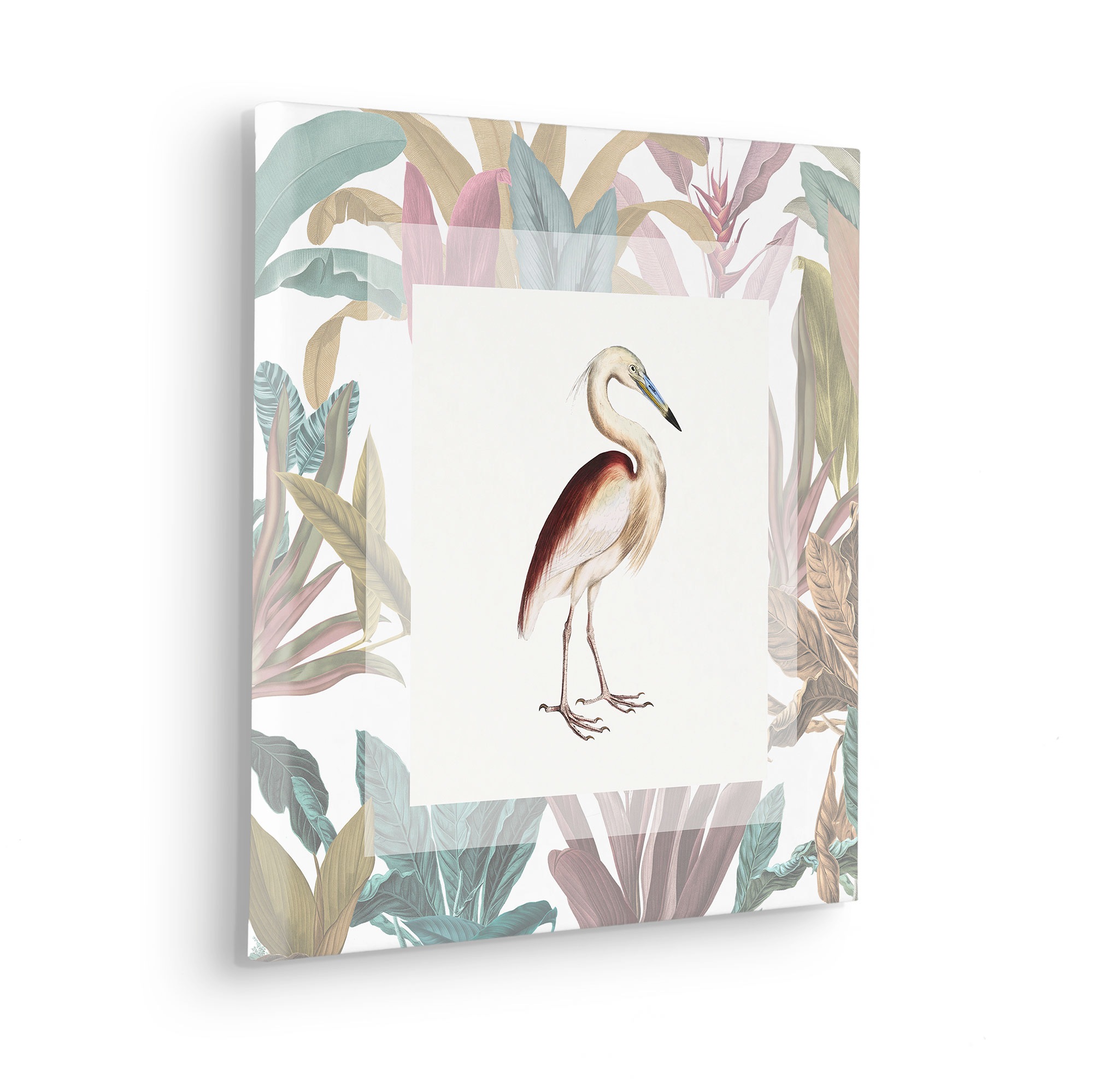 Komar Leinwandbild »Uncommon Bird - Größe 40 x 40 cm« Natur 1 Stk. tlg. Keilrahmenbild mi Echtholzrahmen