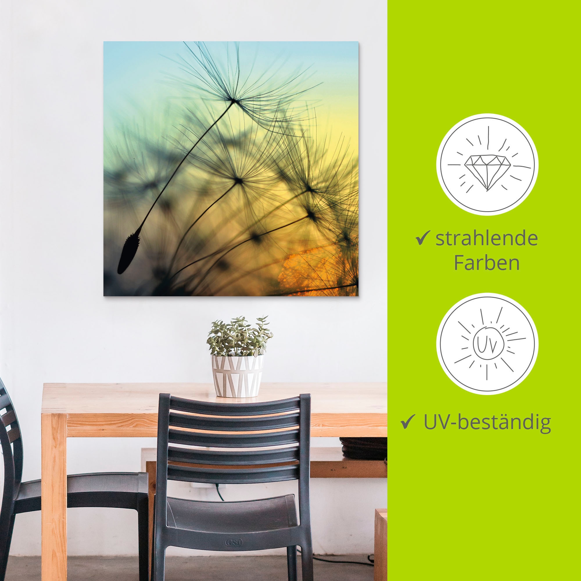 Artland Wandbild »Goldener Sonnenuntergang und Pusteblumen« Blumen 1 Stk. tlg. als Alubild, Outdoorbild, Leinwandbild, Poster, Wandaufkleber
