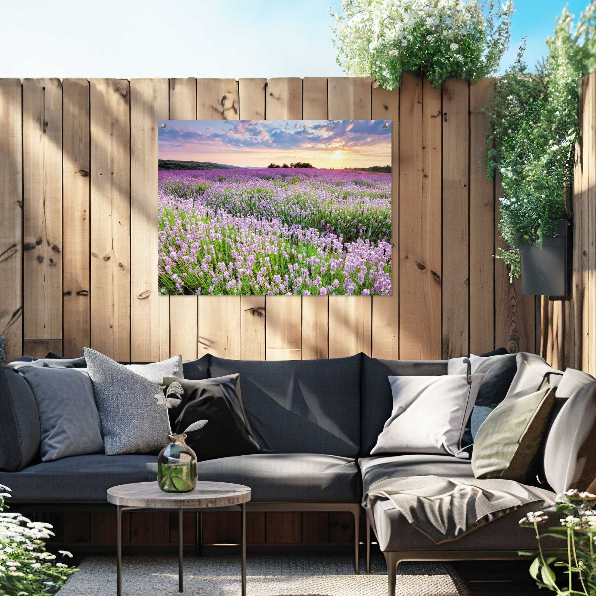 Reinders! Poster »Lavender Field«