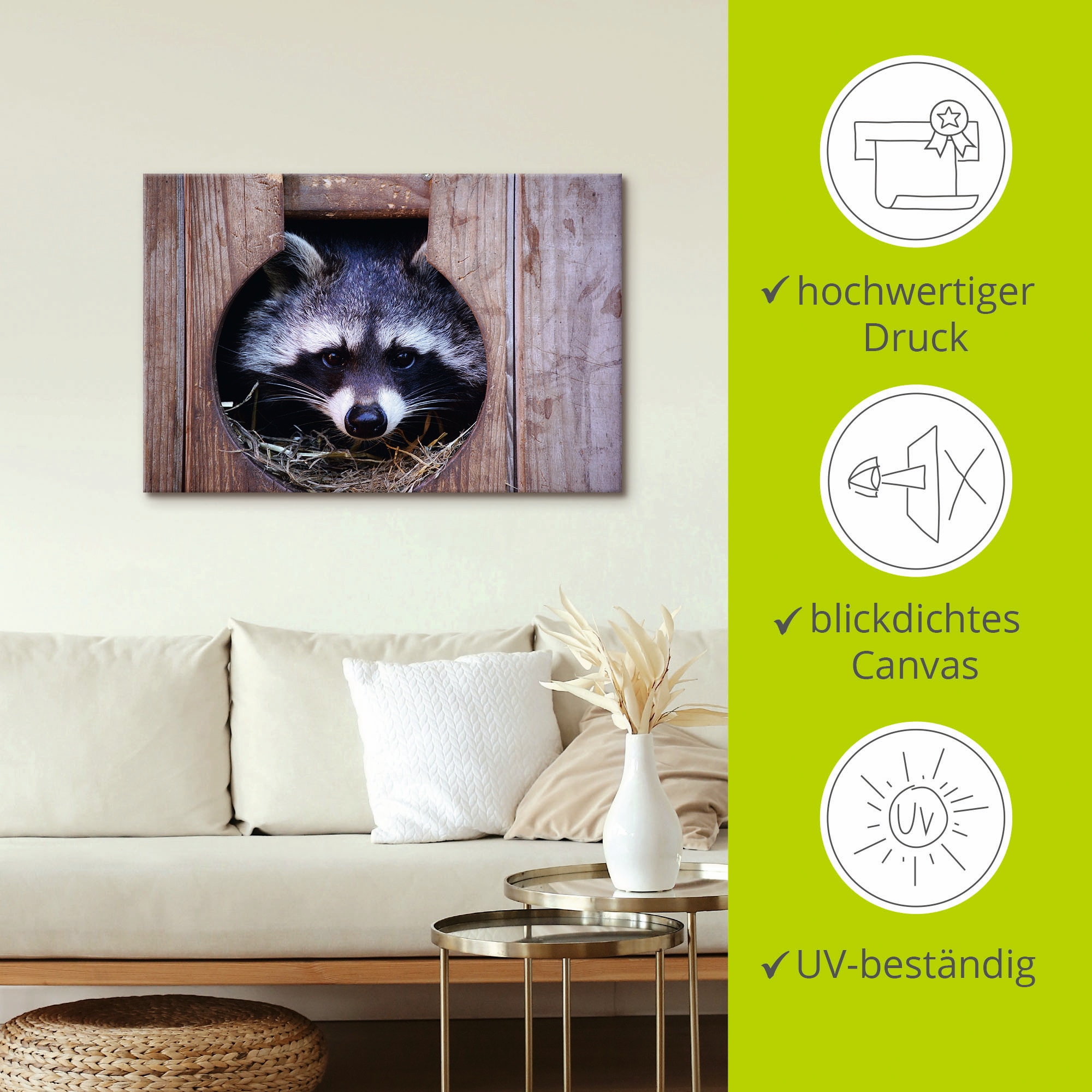 Artland Wandbild »Niedlicher kleiner Waschbär«, Wildtiere, (1 St.), als Leinwandbild, Wandaufkleber in verschied. Größen