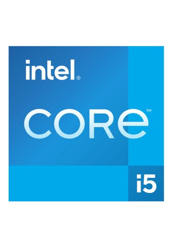 Intel® Prozessor »i5-13600K«, 14Kerne, 3500MHz,FCLGA1700 kaufen