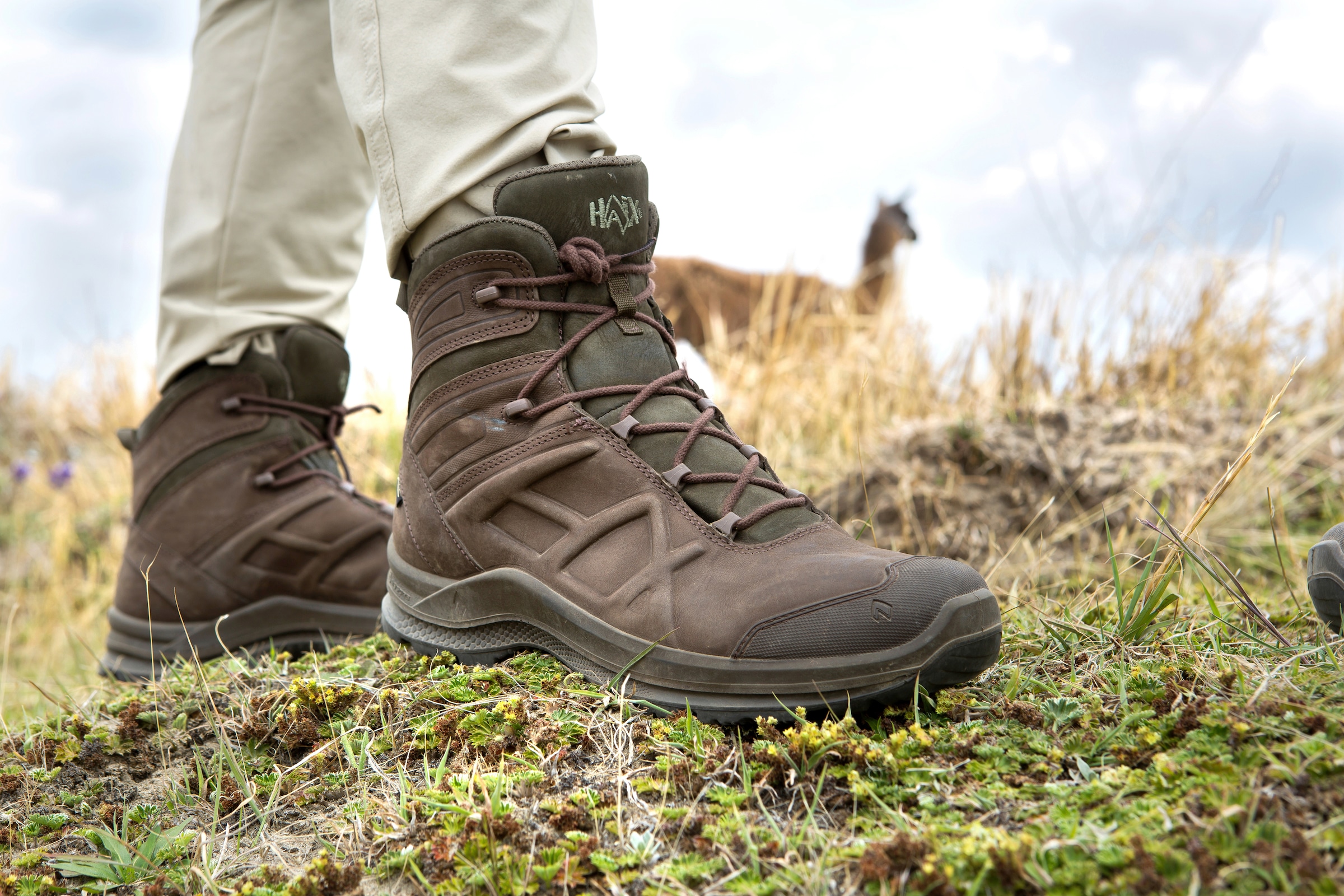 haix Outdoorschuh »BLACK EAGLE Nature GTX mid«  warm gefüttert