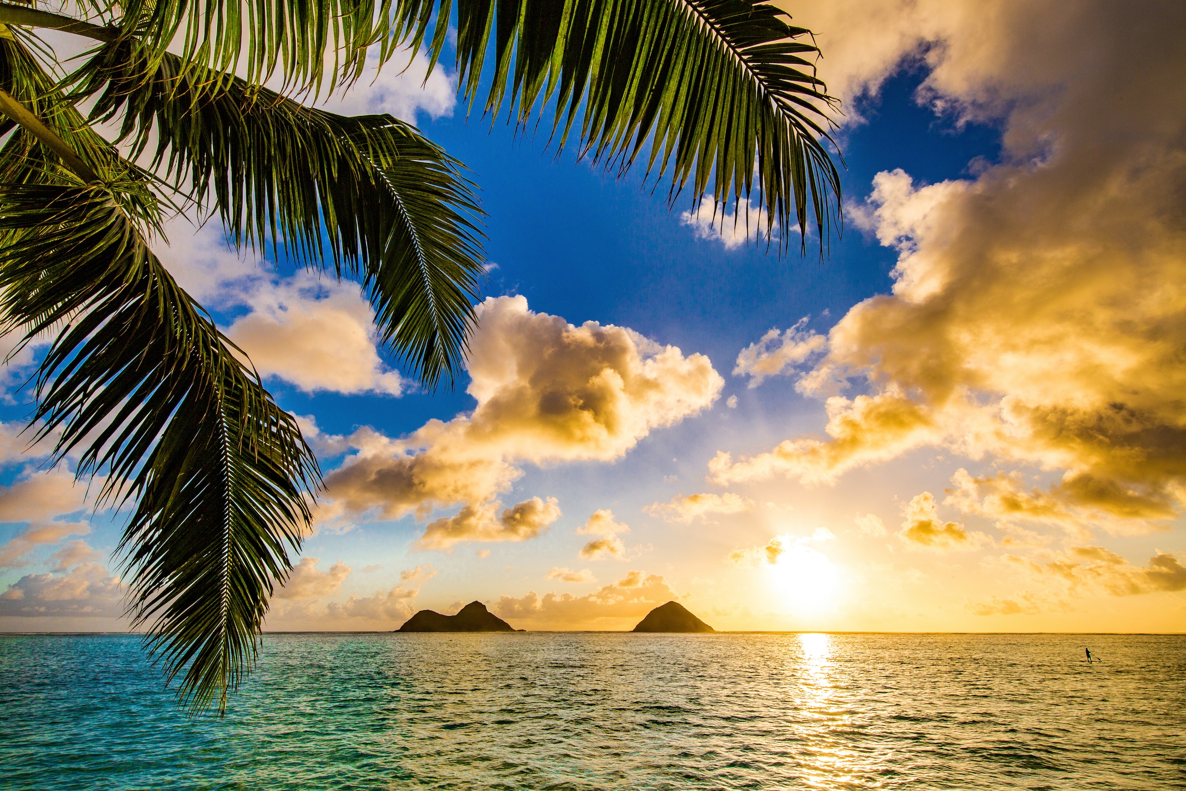 Fototapete »STRAND-PALMEN SONNENUNTERGANG MEER KARIBIK INSEL PALME«