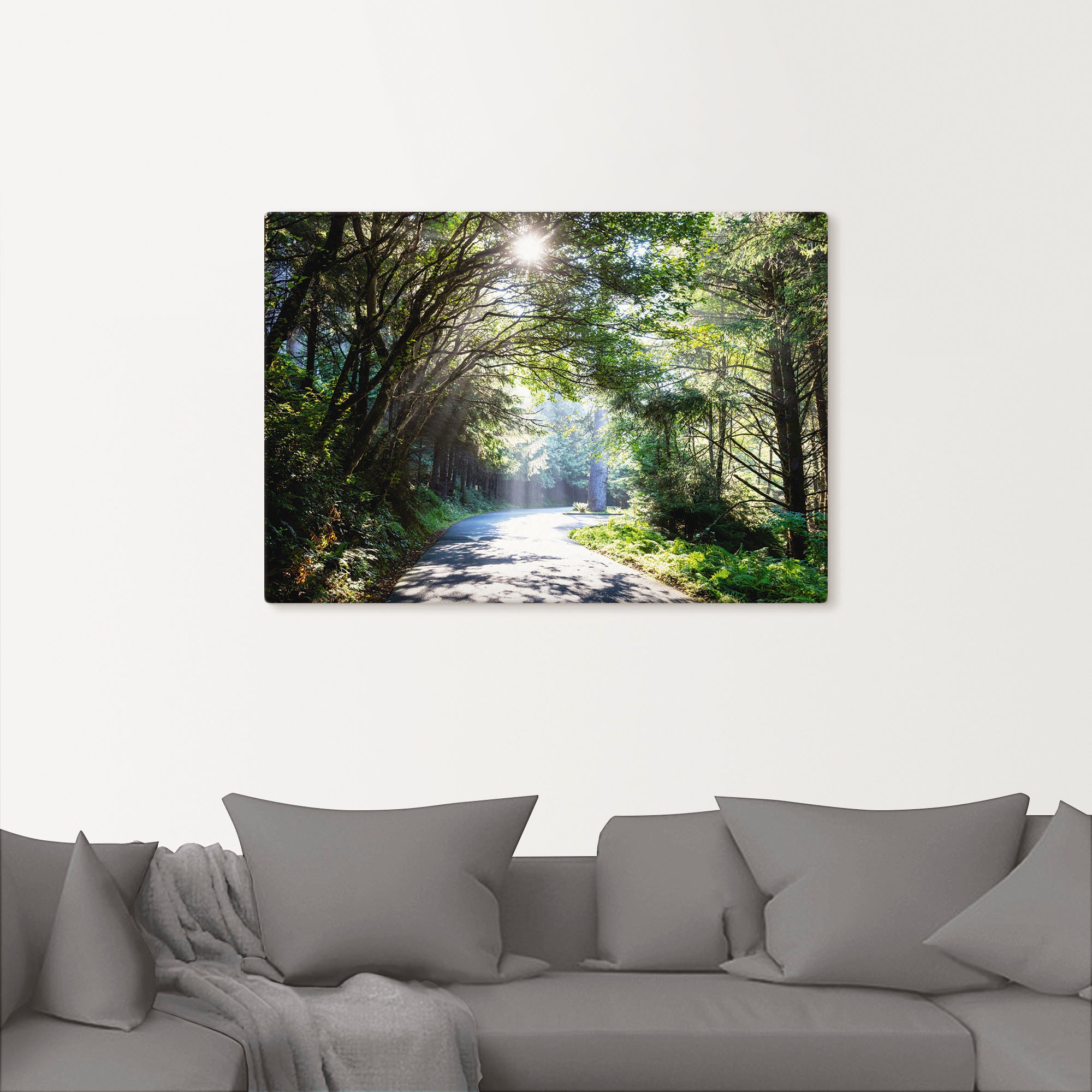 Artland Wandbild »Sonniger Wald«, Baumbilder, (1 St.), als Alubild,  Leinwandbild, Wandaufkleber oder Poster in versch. Größen auf Raten  bestellen