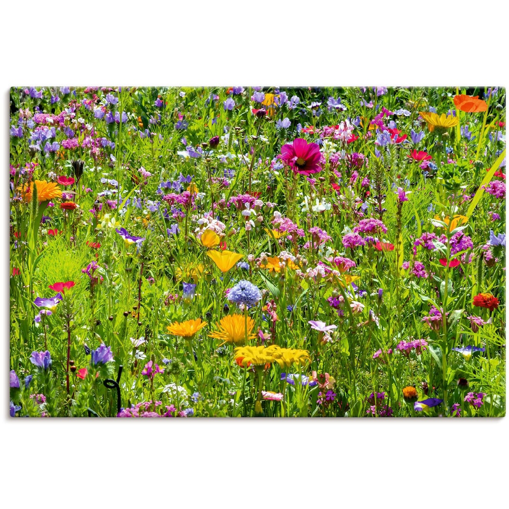 Artland Wandbild »Bunte Blumenwiese«, Blumenwiese, (1 St.)