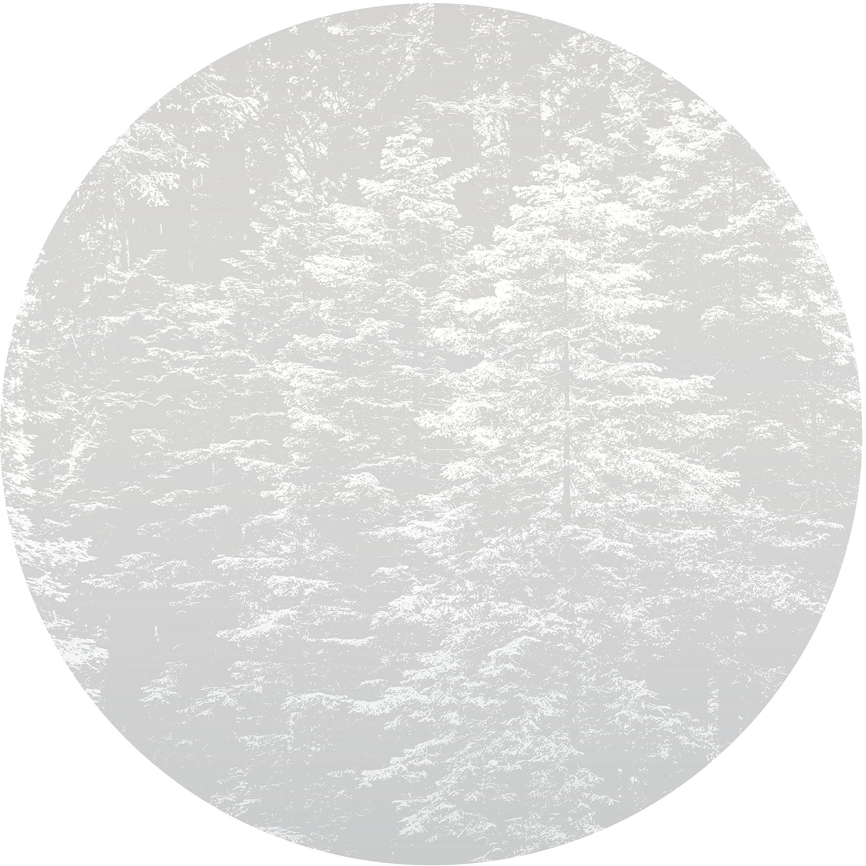Fashion for walls Fototapete »Hazy Pines« floral | gepflegt glatt Phthalate frei