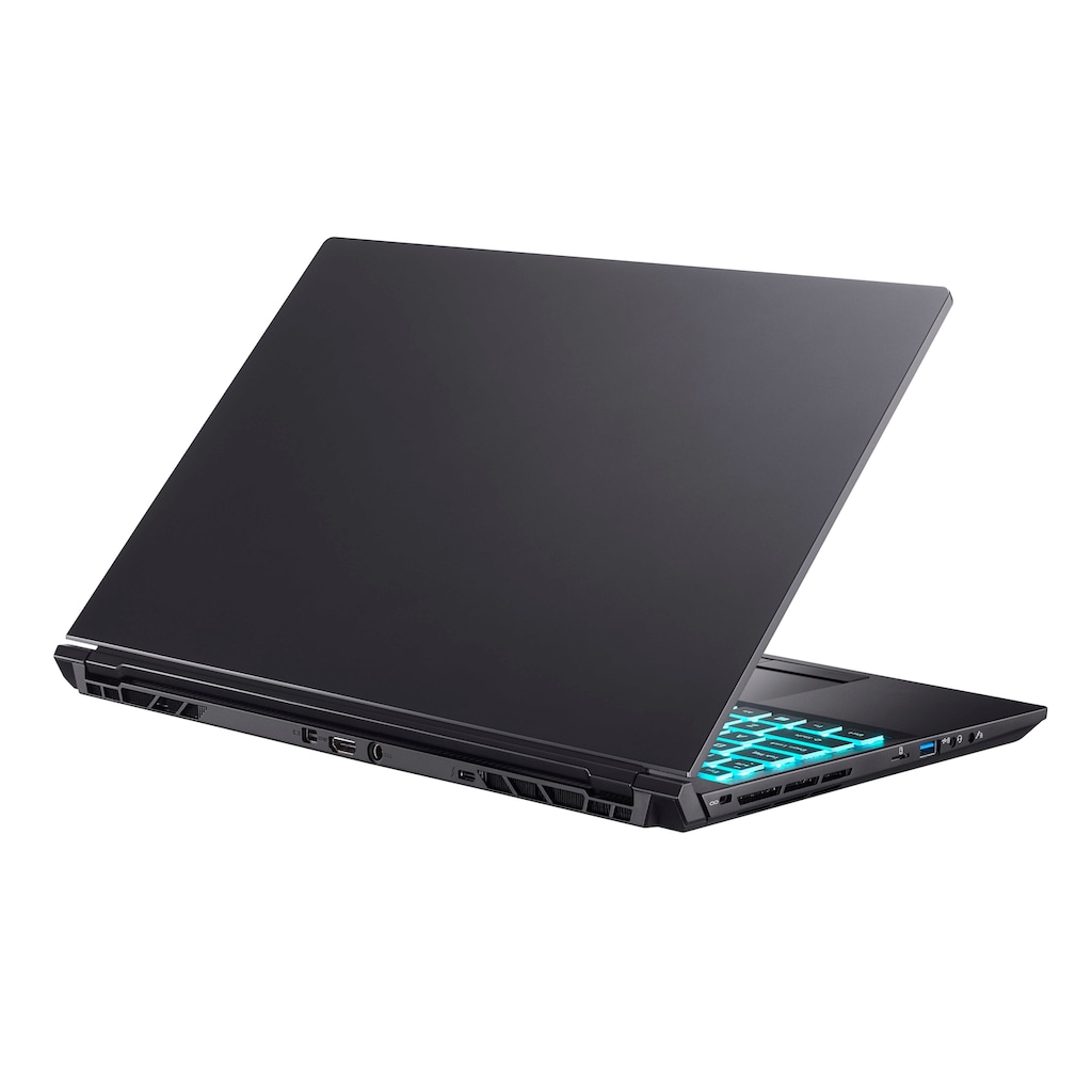 Hyrican Gaming-Notebook »Striker 1636«, 39,62 cm, / 15,6 Zoll, Intel, Core i7, GeForce RTX 3070 Max.Q, 1000 GB SSD