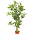 Creativ green Kunstpflanze »Bambus«, (1 St.)