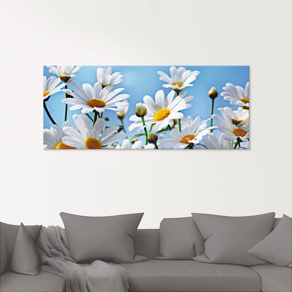 Artland Glasbild »Blumen - Margeriten«, Blumen, (1 St.)