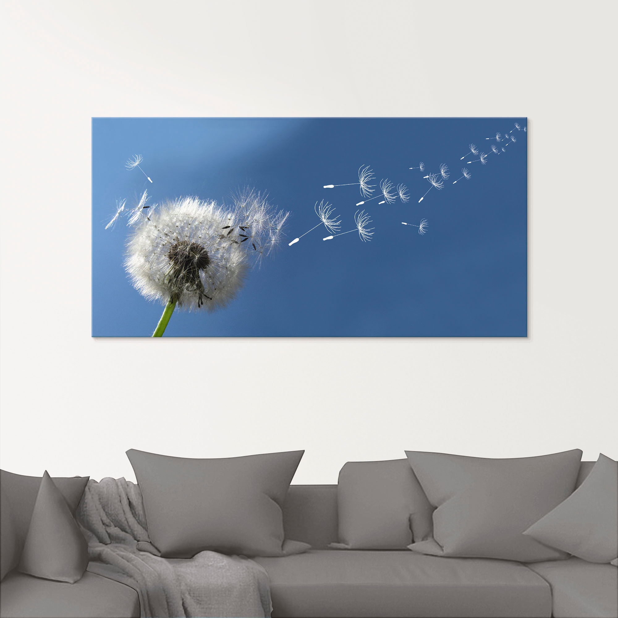 Artland Glasbild »Pusteblume«, Blumen, (1 St.), in verschiedenen Größen auf  Raten kaufen | Bilder