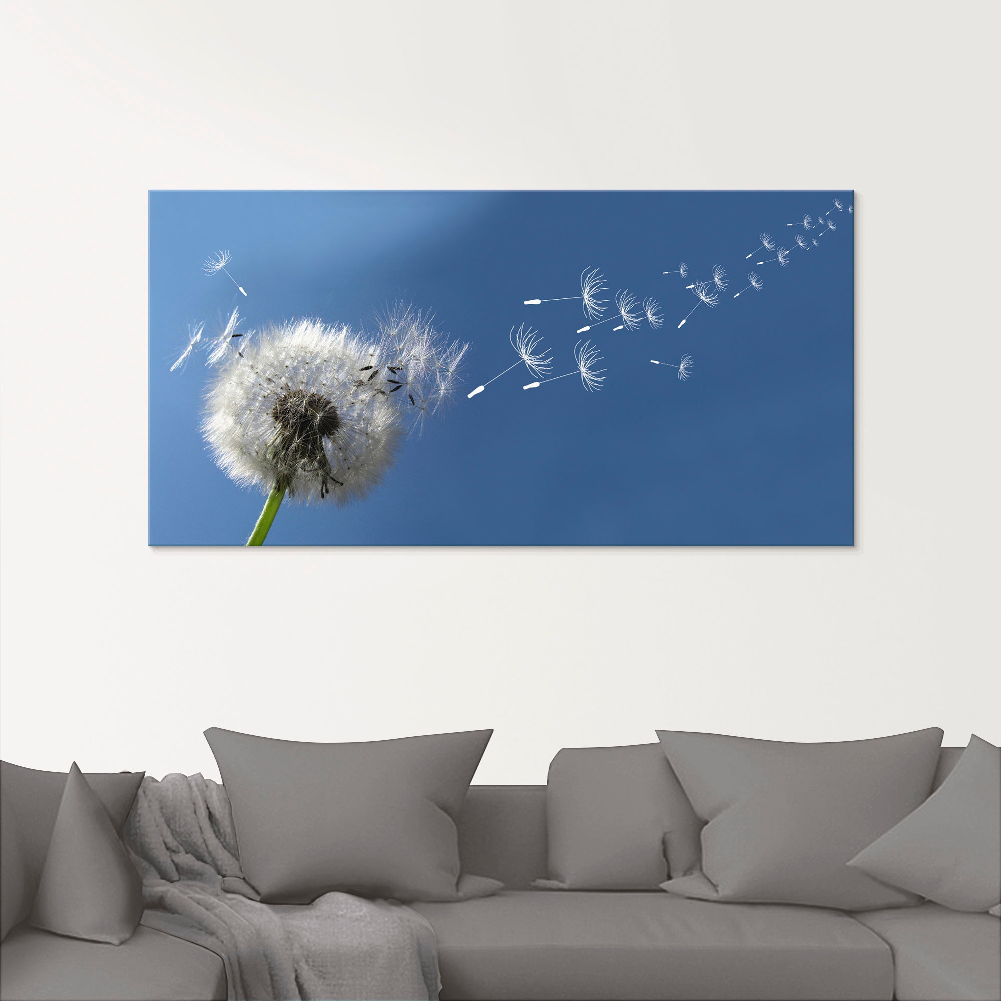 Artland Glasbild »Pusteblume«, Blumen, (1 St.), in verschiedenen Größen auf  Raten kaufen