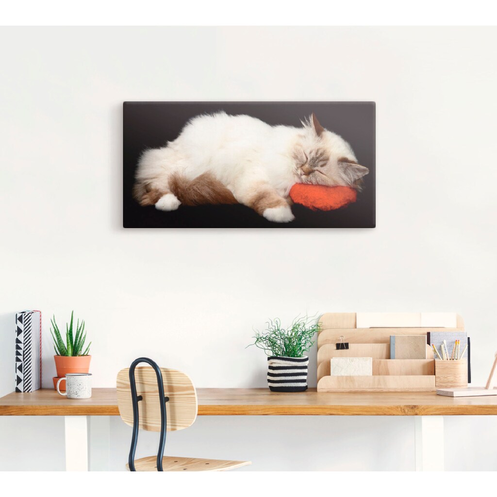 Artland Wandbild »Müde Katze«, Haustiere, (1 St.), als Leinwandbild, Poster, Wandaufkleber in verschied. Größen
