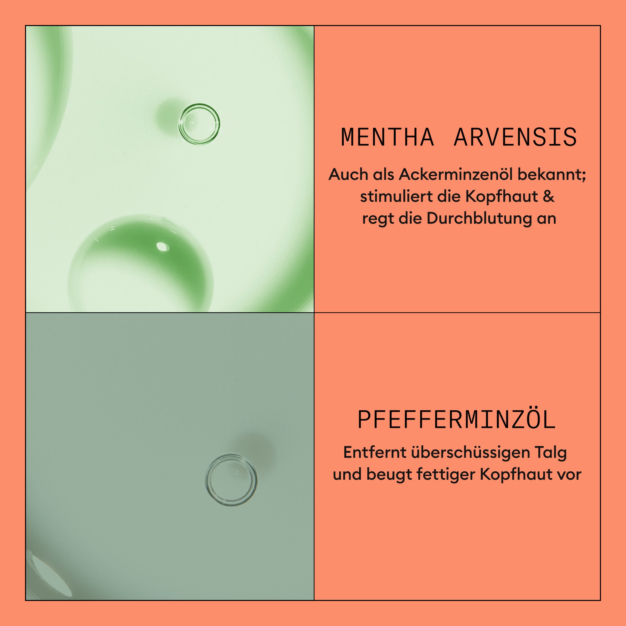 Nioxin Kopfhaut-Pflegekur »System 4 Conditioner« mehr Volumen, schützt vor Haarbruch, speziell für coloriertes Haar