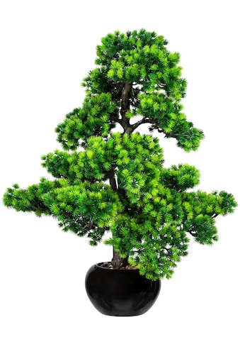 Creativ green Kunstbonsai »Bonsai Lärche«, (1 St.), im Keramiktopf kaufen