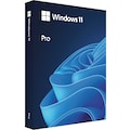 Microsoft Betriebssystem »Original MS Windwos 11 Betriebssystem Win Pro FPP 11 64-bit German/deutsch USB«