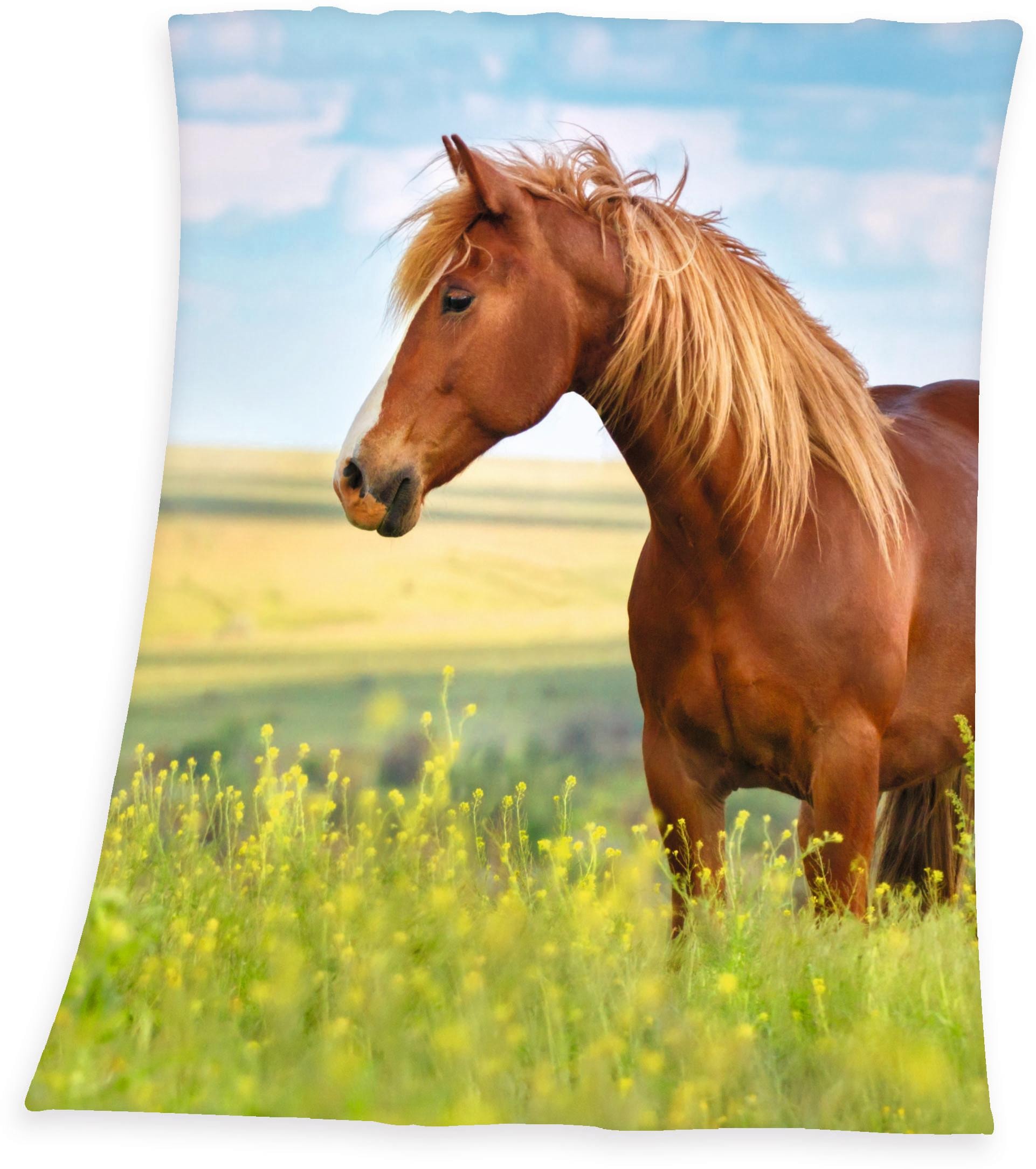 »Pferd«, Kuscheldecke Young Herding Collection Kinderdecke kaufen Motiv, mit online