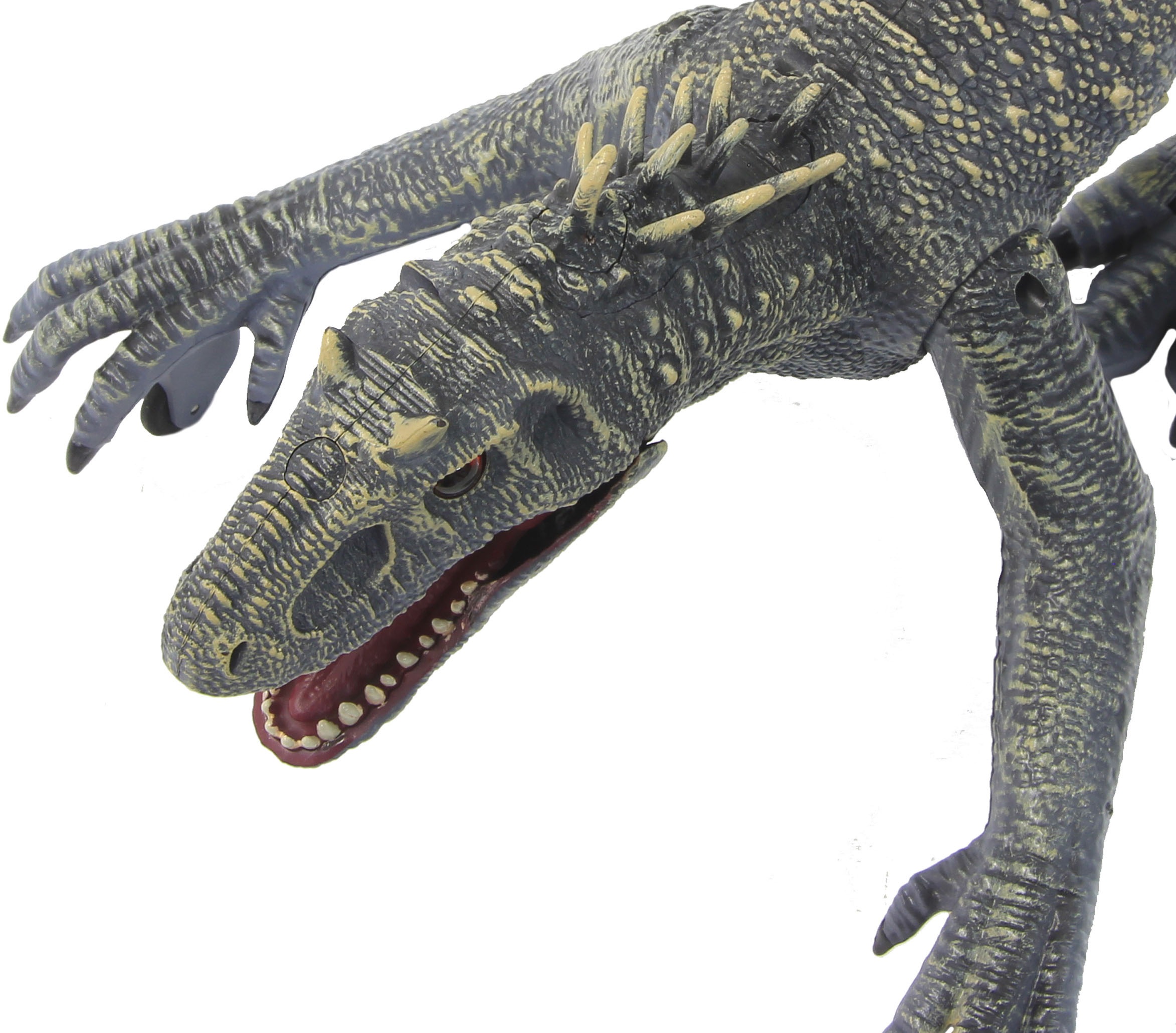 Jamara RC-Tier »Dinosaurier Exoraptor, Li-Ion 3,7V, 2,4GHz, grau«, mit Licht und Sound