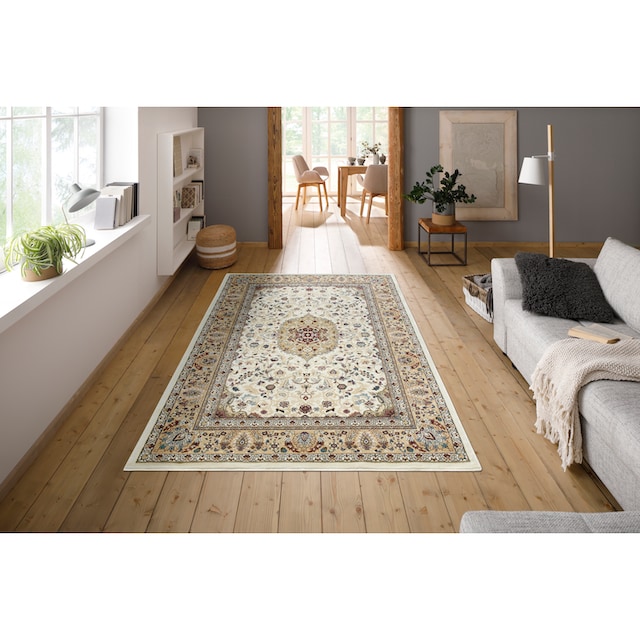 my home Teppich »Nevio«, rechteckig, Orient-Optik, mit Bordüre, Kurzflor,  Pflegeleicht, Elegant, weich online kaufen