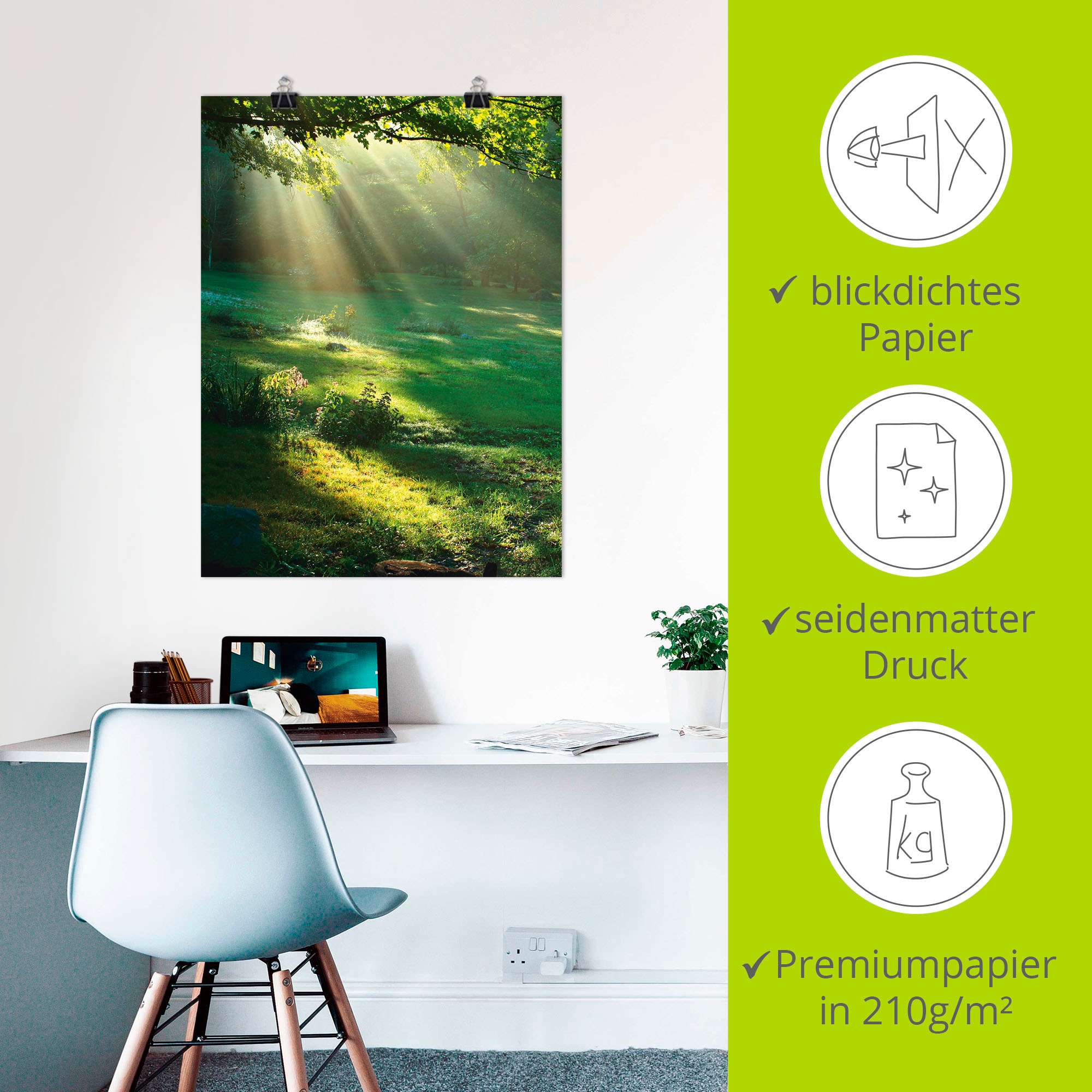 Artland Wandbild »Lichtkegel« Wald 1 Stk. tlg. als Alubild, Outdoorbild, Leinwandbild, Poster, Wandaufkleber
