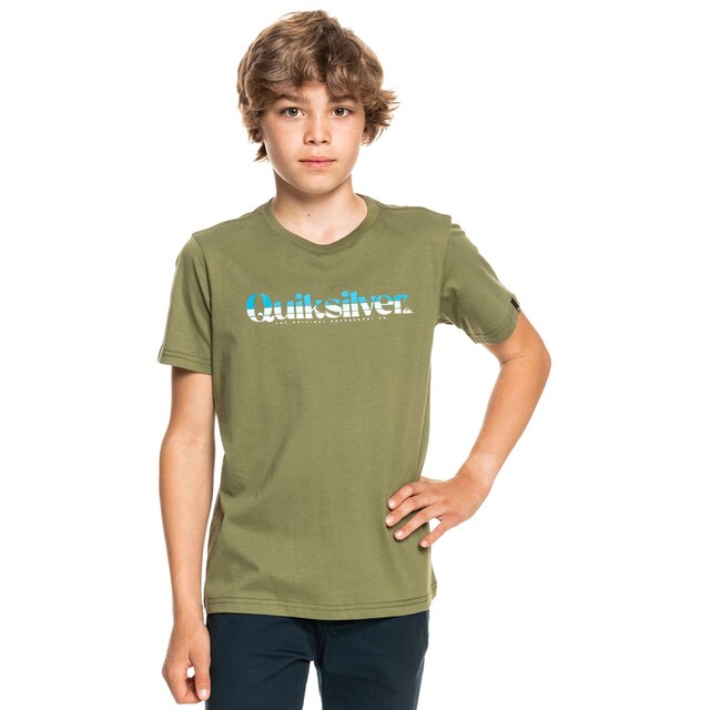 Quiksilver T-Shirt »Primary Colours« bei