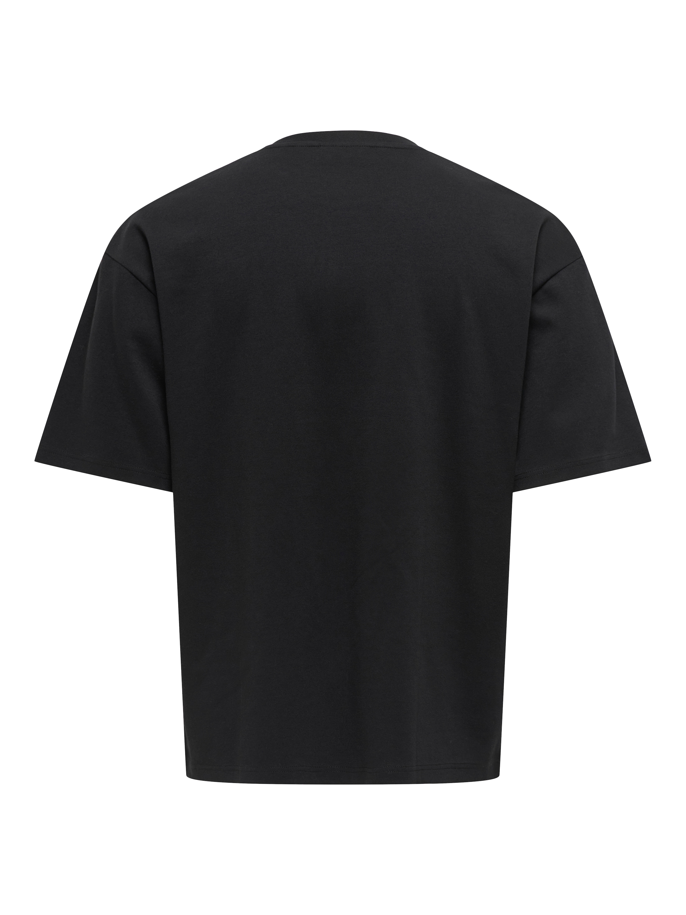 ONLY & SONS Rundhalsshirt »ONSCASPIAN AUT SS TEE« Baumwollmischung, regular fit