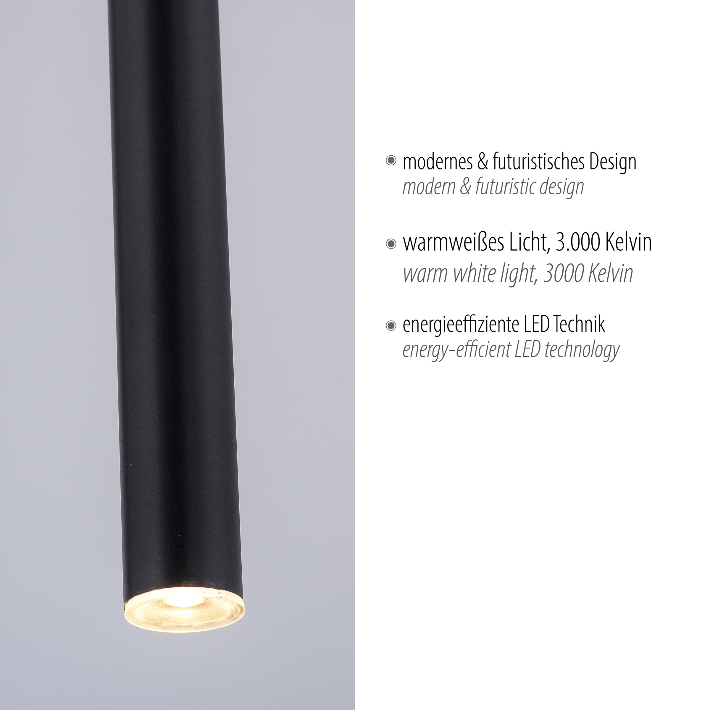 Paul Neuhaus Pendelleuchte »FLUTE«, 1 flammig, Leuchtmittel LED-Board | LED fest integriert