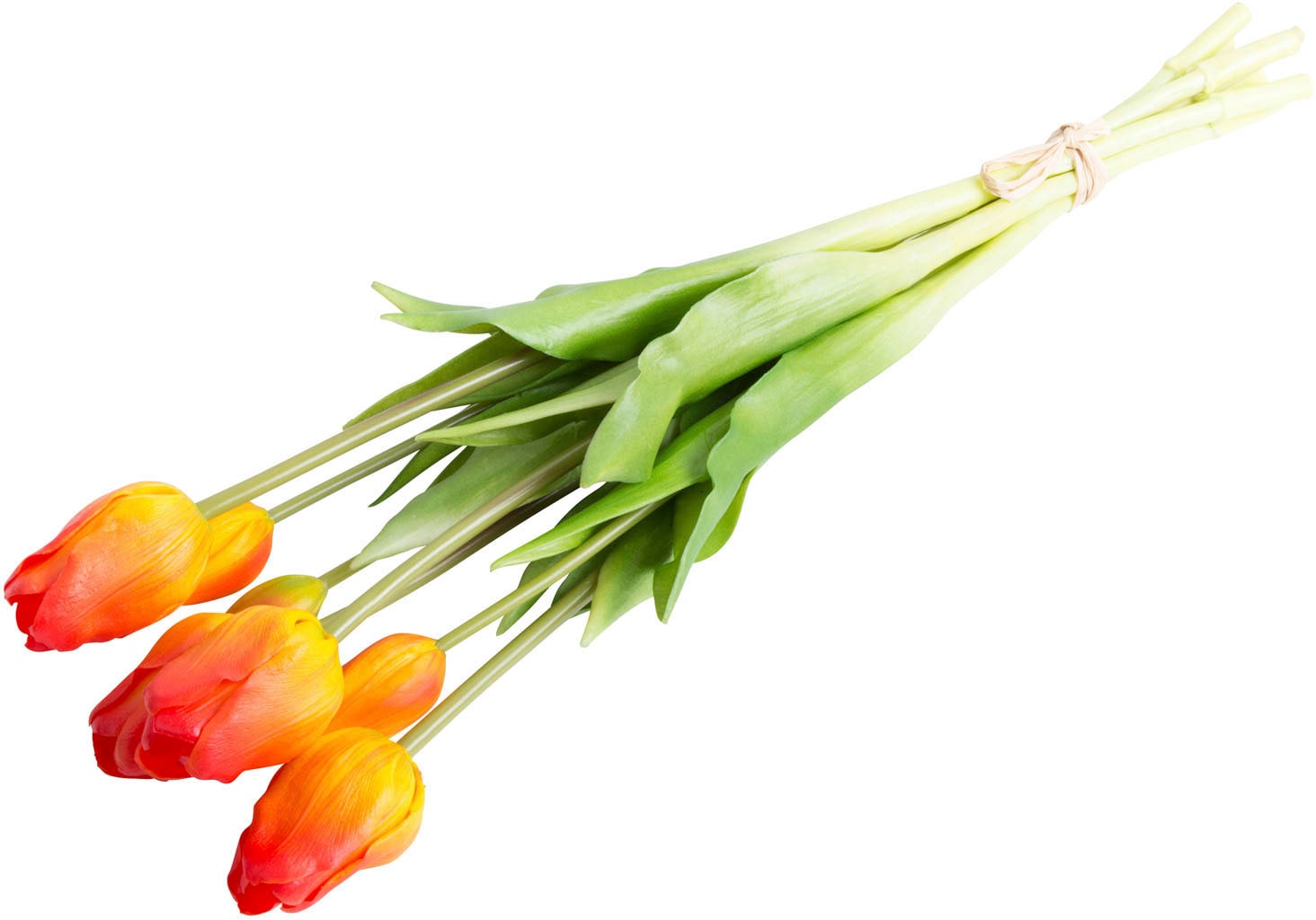 Botanic-Haus Kunstblume kaufen »Tulpenbündel« bequem