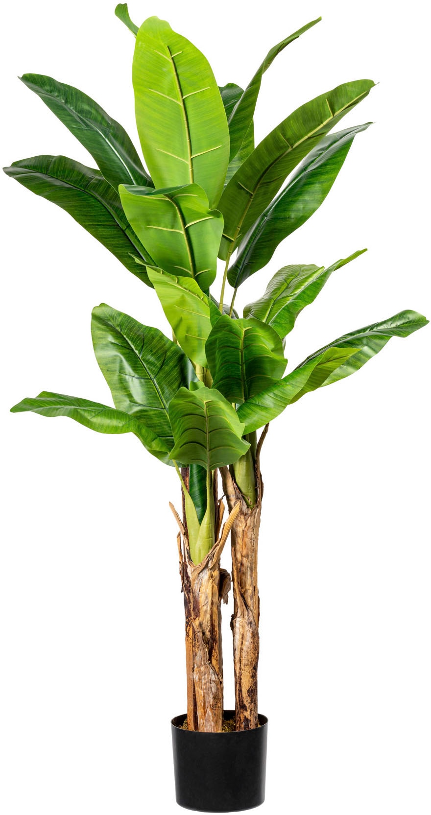Creativ green Kunstpalme »Bananenpflanze«