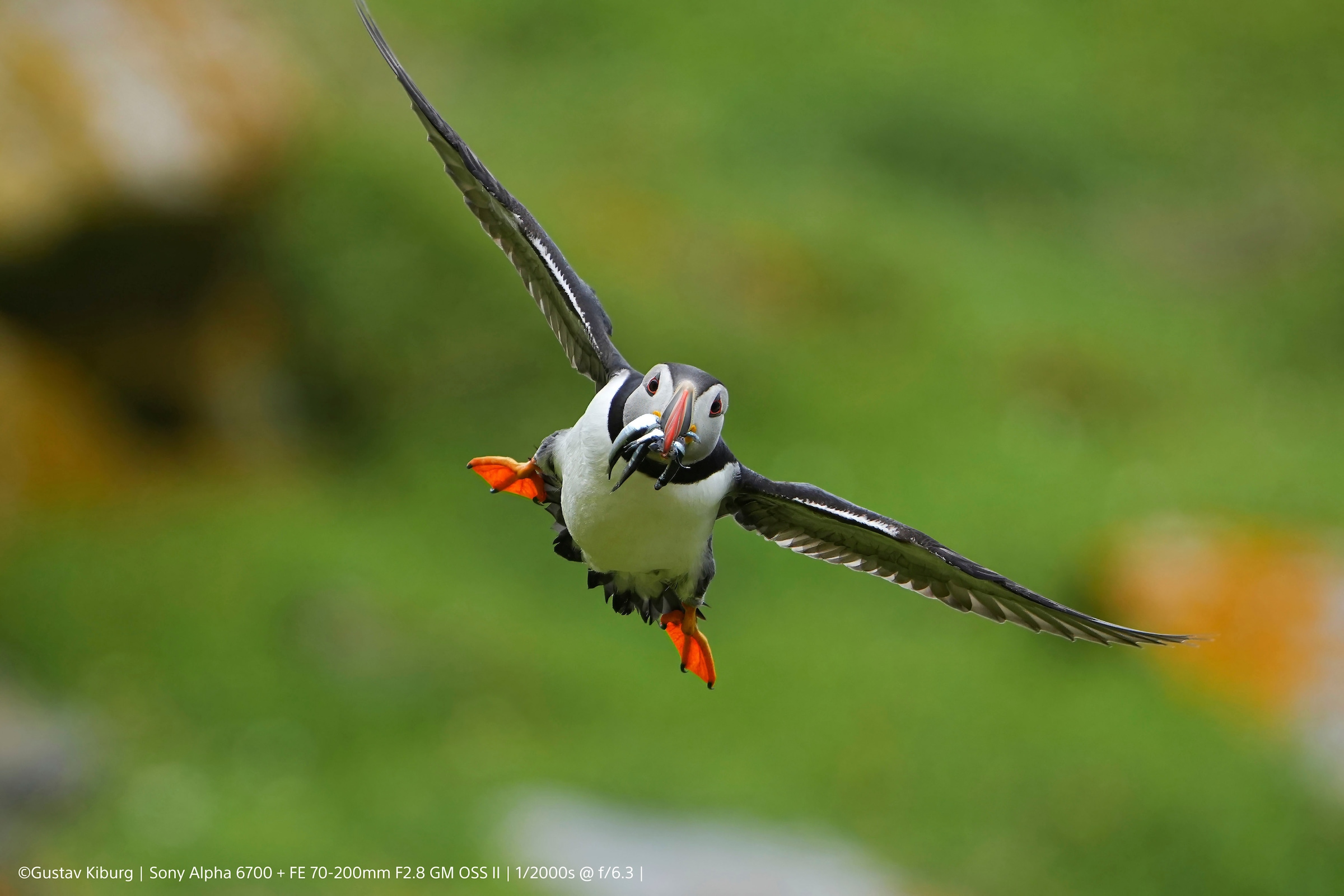 Sony Systemkamera »ILCE-6700KB« PZ 16-50 mm OSS II , 26 , Bluetooth