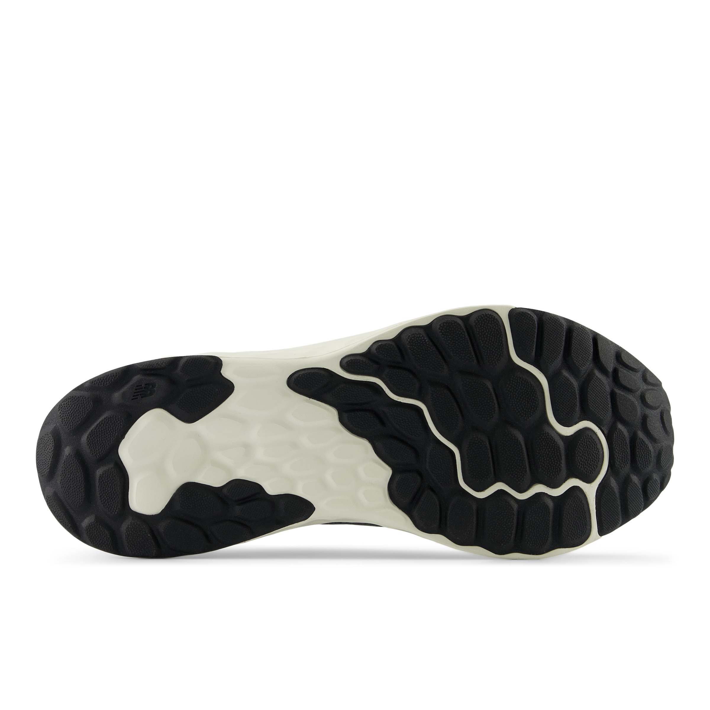 New Balance Laufschuh »FRESH FOAM ARISHI V4«
