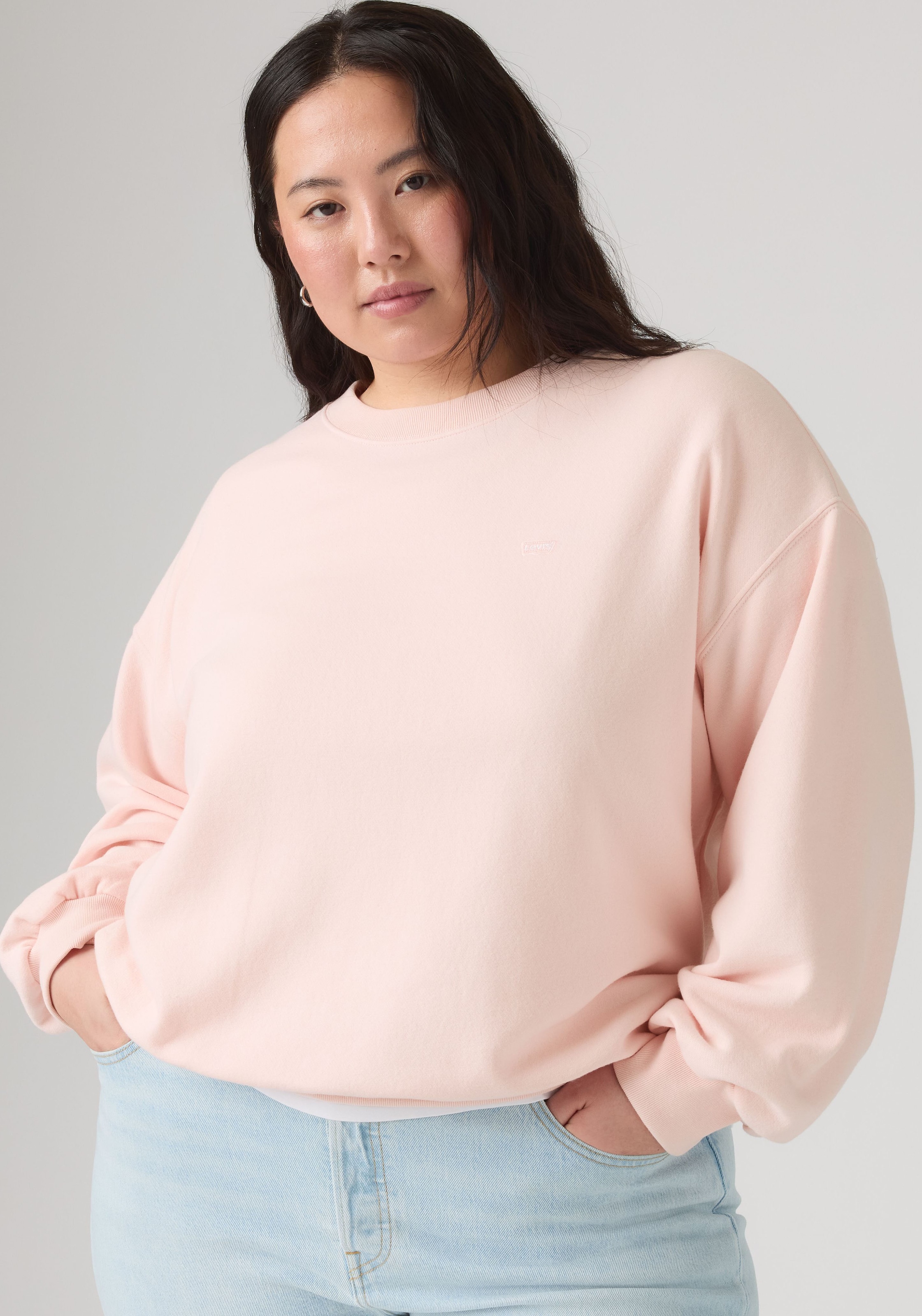 Levi's® Plus Sweatshirt »PL EVERYDAY CREW SWEATSHIRT«, Baumwollmix
