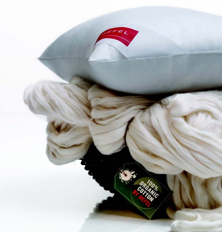 aus Füllung cotton, (1 kaufen Bezug Fair, St.) extrawarm, certified online % Hefel 100 HEFEL Baumwoll-Satin Winterdecke«, TENCEL®, Einziehdecke Fairtrade »Klimacontrol 100 %