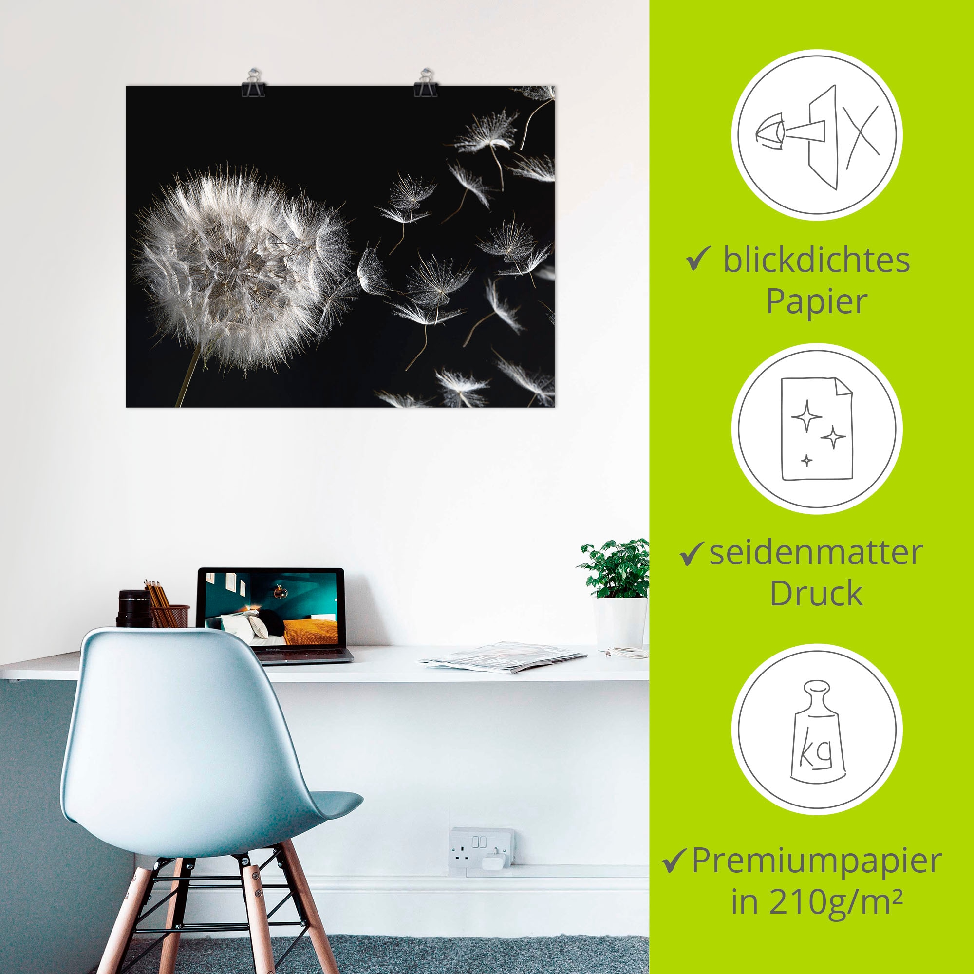 Artland Wandbild »Pusteblume« Blumenbilder 1 Stk. tlg. als Leinwandbild, Poster in verschied. Größen