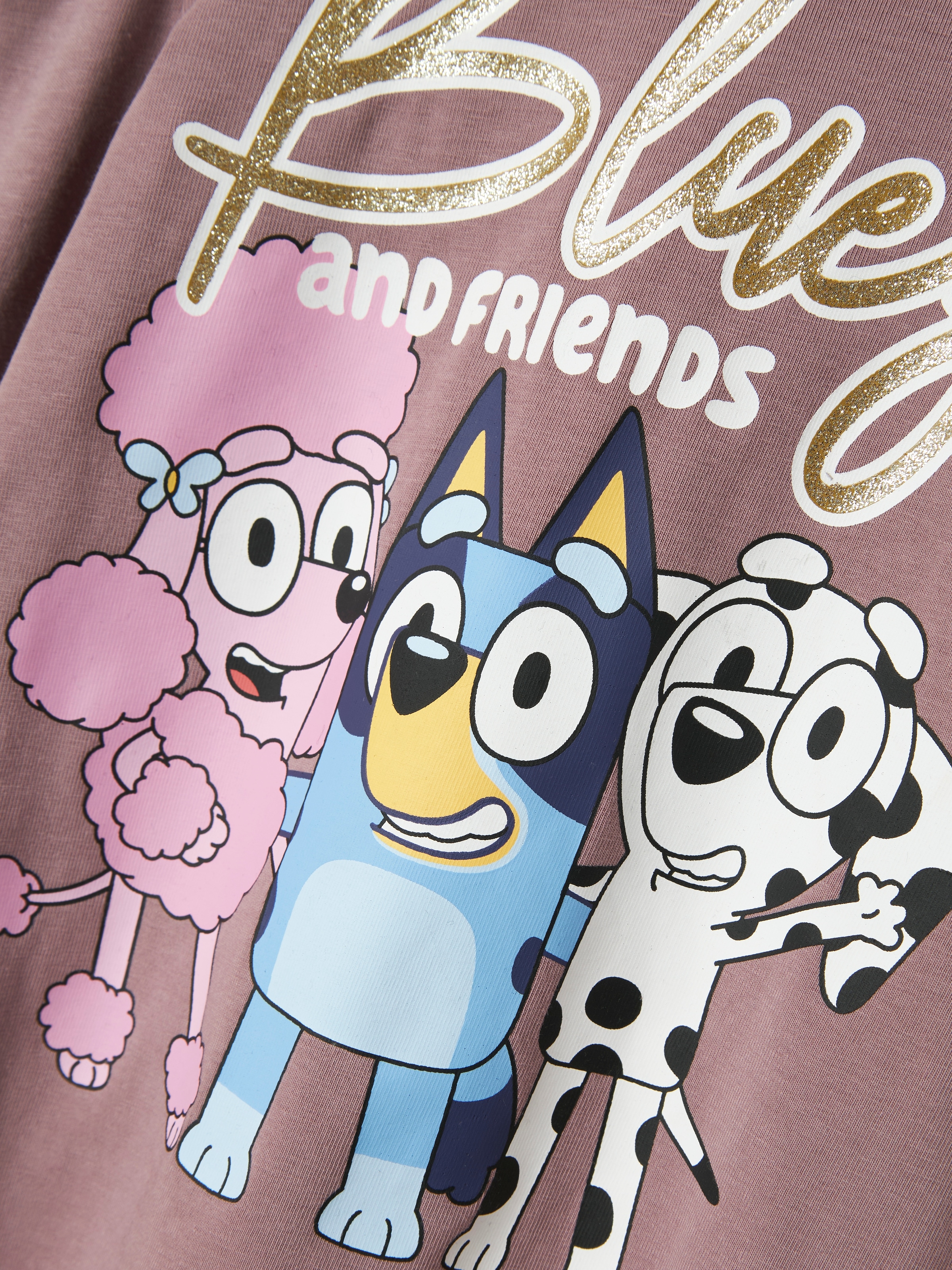 Name It Langarmshirt »NMFARIA BLUEY LS TOP NOOS SKY« mit großem Frontmotiv