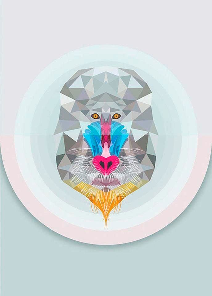 Komar Bild »Baboon« Tiere 1 Stk. tlg. Wandbild zur Dekoration - ohne Rahmen