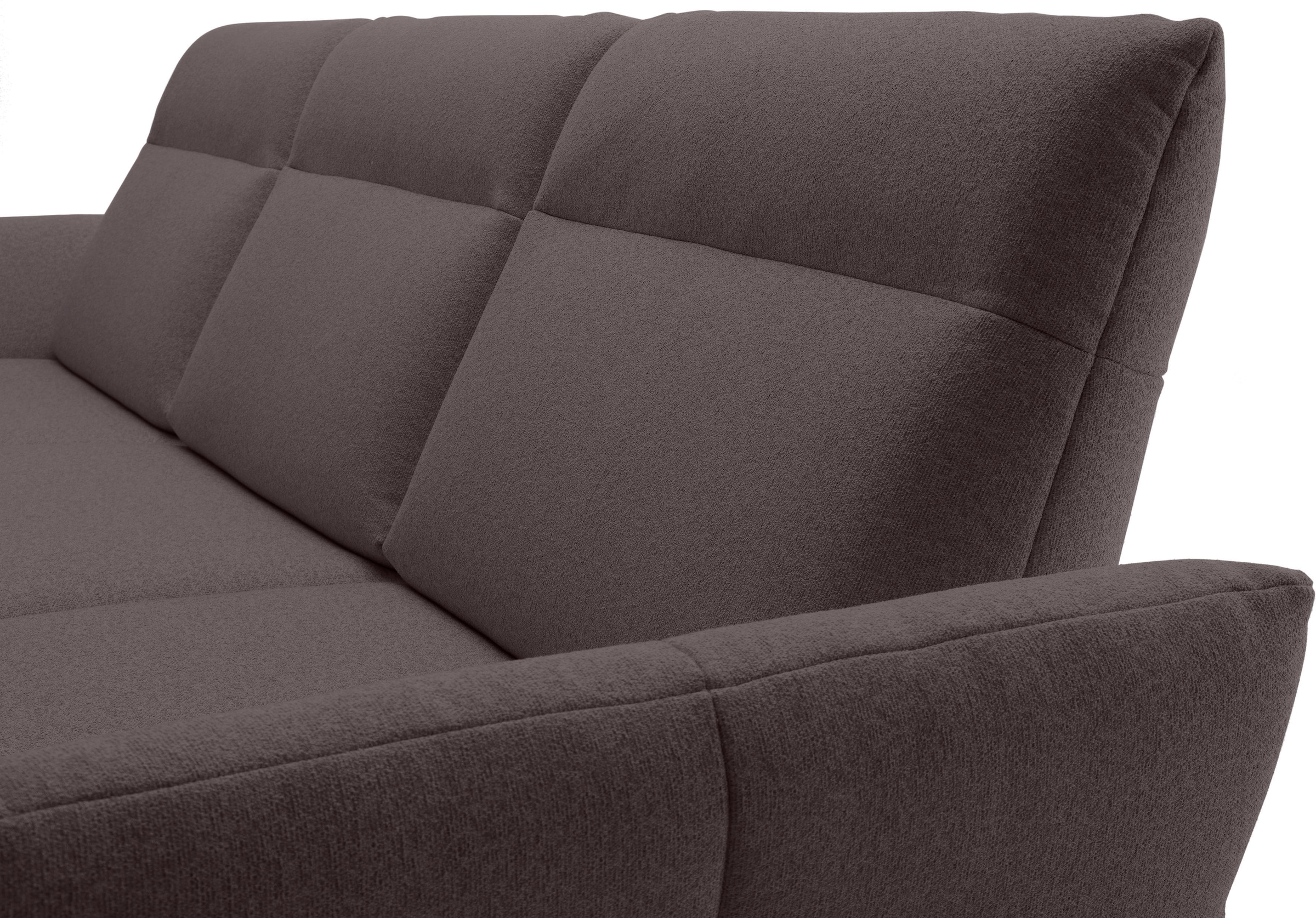 Creation BY ROLF BENZ Ecksofa »CR.460«, Sockel in Eiche, Alugussfüße in umbragrau, Breite 298 cm