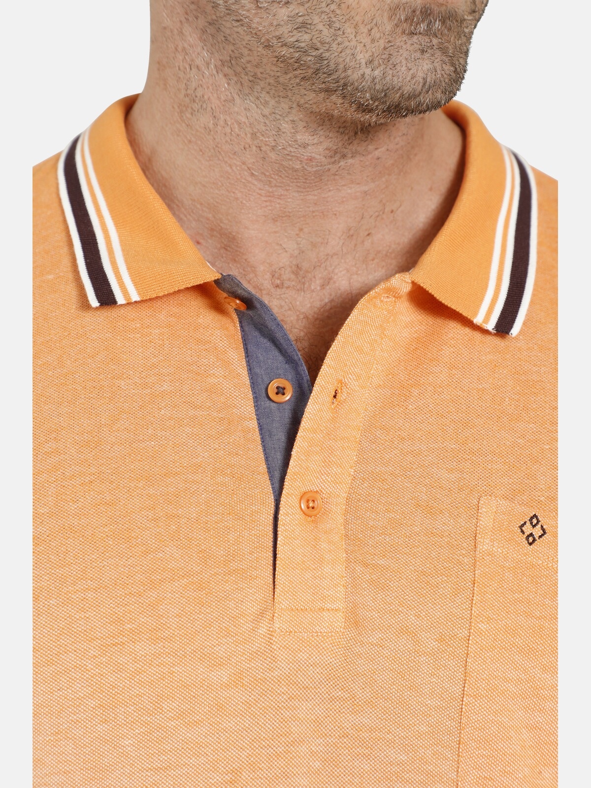 Charles Colby Poloshirt »Poloshirt EARL LANDON«