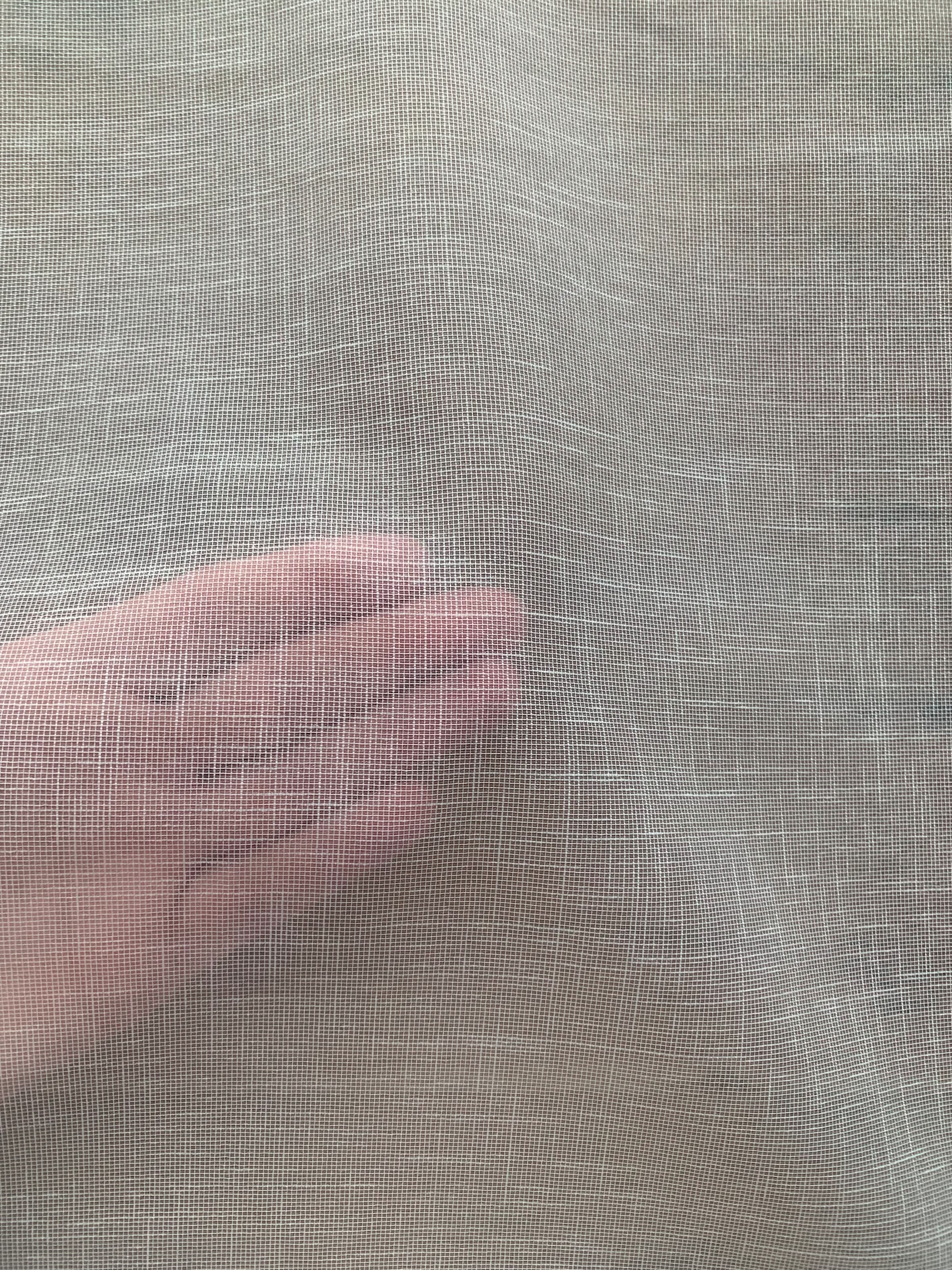 HOME WOHNIDEEN Schiebegardine »AUERBACH UNI« Paneelwagen 1 Stk. tlg. HxB: 245x60, Schiebevorhang Effektvoile Uni