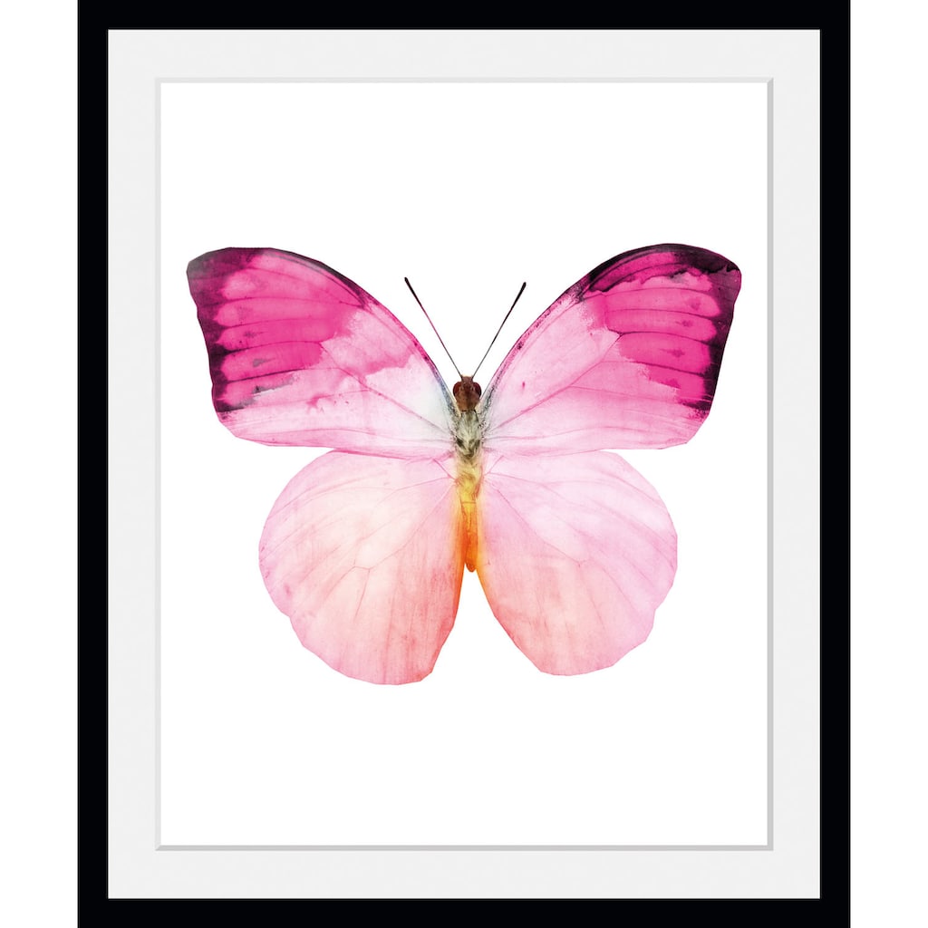 queence Bild »Jody«, Schmetterlinge, (1 St.)