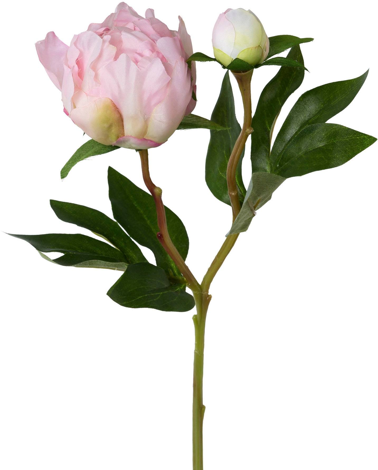 Creativ green Kunstblume »Peonie«
