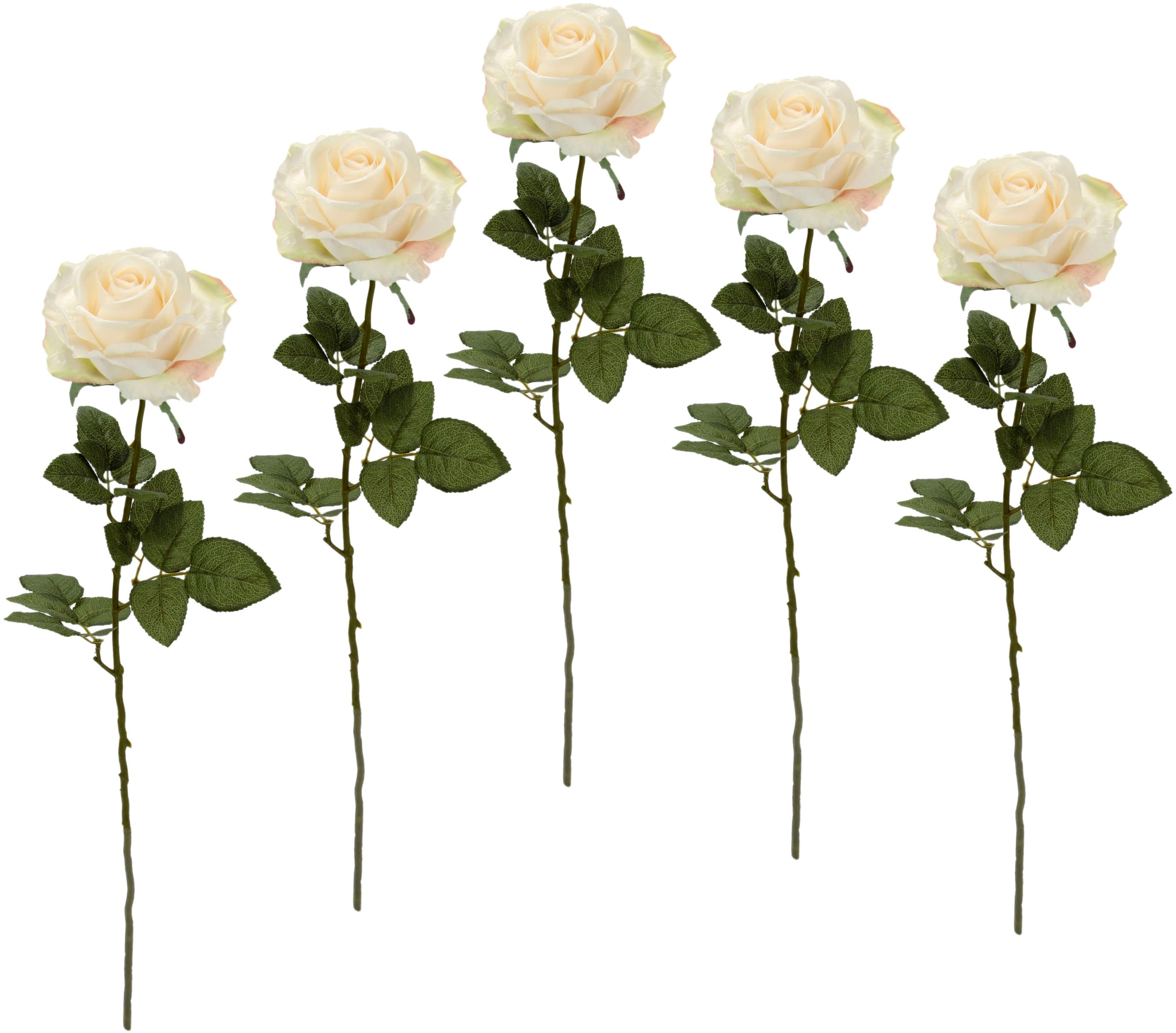 Kunstblume 5er kaufen »Rose«, bequem Set I.GE.A.