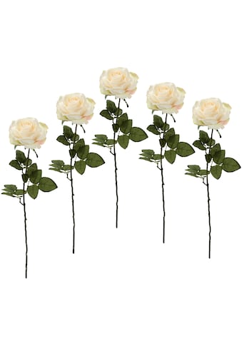 I.GE.A. Kunstblume »Rose«, (5 St.), 5er Set kaufen