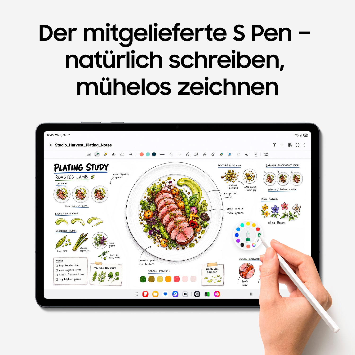 Samsung Tablet »Galaxy Tab S12+ 5G« (32,04 cm / 12,6 ″) Android WQXGA+ 5G )