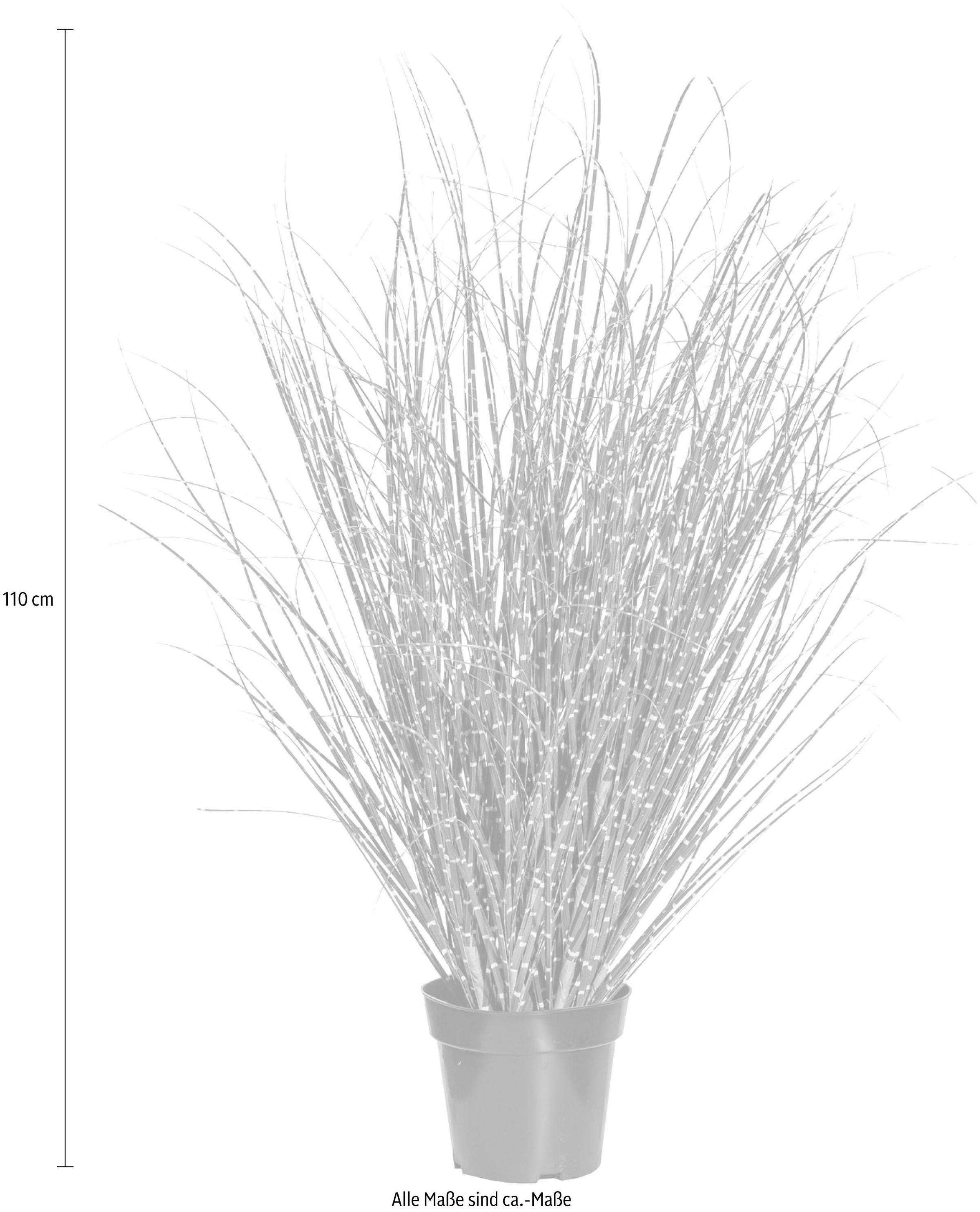 Creativ green Kunstgras »Miscanthus Zebrinus«