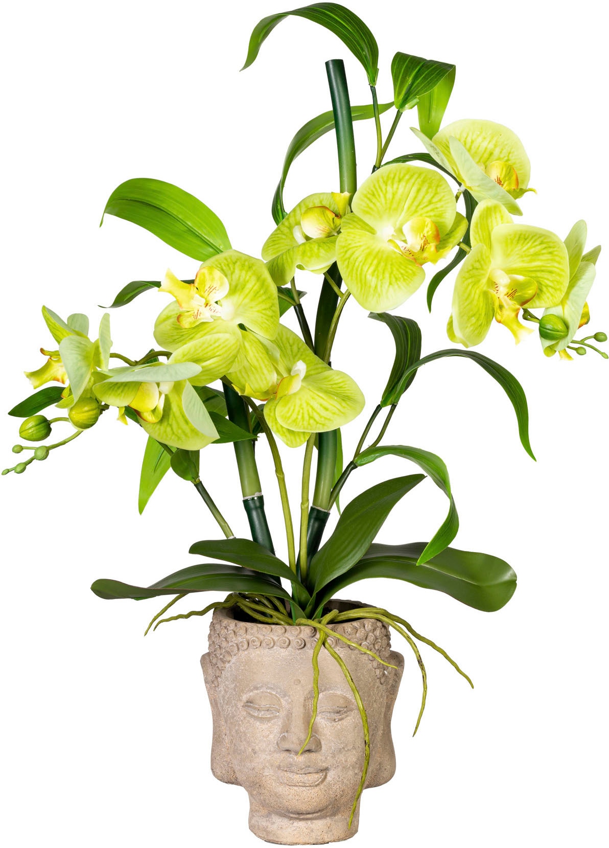 im bequem »Orchideen-Bambus-Arrangement green Creativ Buddhakopf« kaufen Kunstorchidee