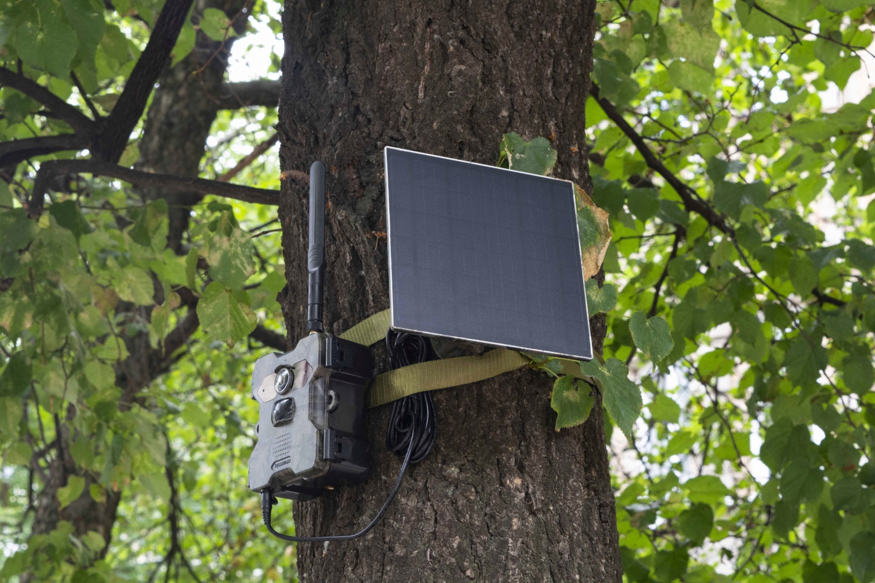 Technaxx Wildkamera »4G Wildcam TX-189 + Solar Panel«, Außenbereich